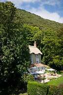 Hillside