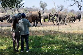 Simbavati Camp George