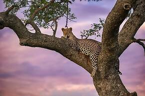 Simbavati Camp George