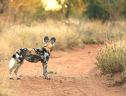 Simbavati Camp George