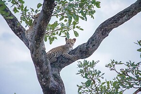 Simbavati Camp George