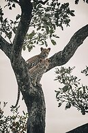 Simbavati Camp George