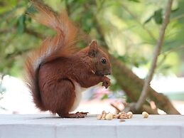 Park-Hotel Timmendorfer Strand