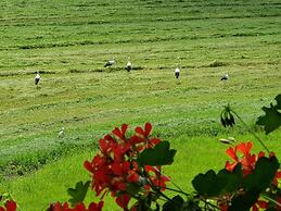 Ferienwohnung am Rain