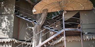 Jackalberry Tented Camp
