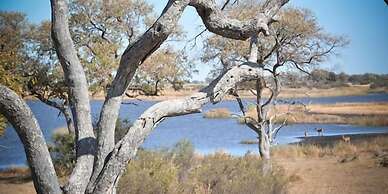 Jackalberry Tented Camp