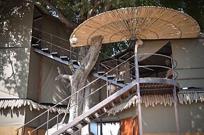 Jackalberry Tented Camp