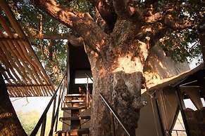 Jackalberry Tented Camp