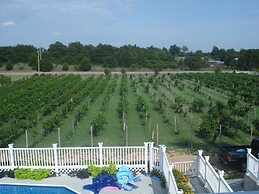 Indian Creek Village Winery