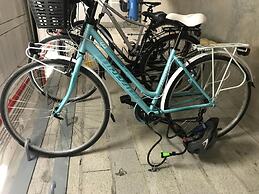 Apartamentos Royal Life