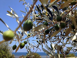FERGUS Cap Roig