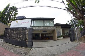 House of Arsonia Orchid