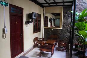 House of Arsonia Bougainvillea