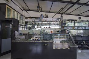 House of Arsonia Bougainvillea