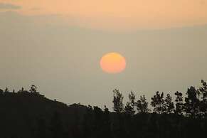 Hotel Bosque Verde Lodge