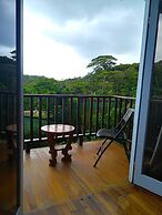 Hotel Bosque Verde Lodge