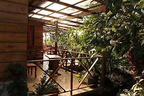 Hotel Bosque Verde Lodge