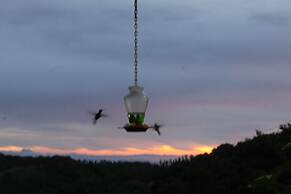 Hotel Bosque Verde Lodge