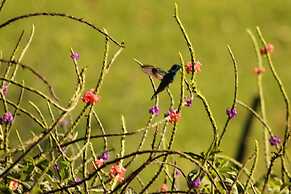 Hotel Bosque Verde Lodge