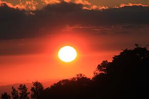 Hotel Bosque Verde Lodge