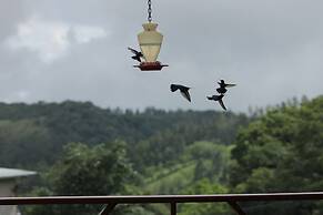 Hotel Bosque Verde Lodge