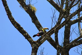 Hotel Bosque Verde Lodge