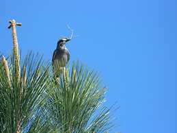 Posada de Campo Lo de Fatsia