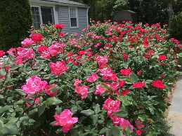 The Platinum Pebble Boutique Inn - Adults Only