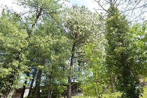 Chinar Family Resort