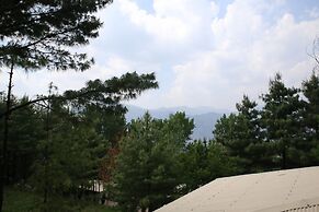 Chinar Family Resort