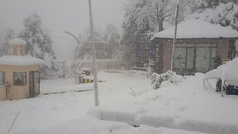 Chinar Family Resort