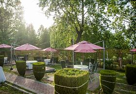 Chinar Family Resort