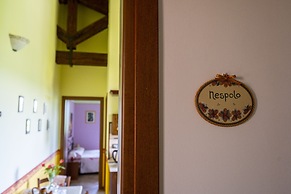 Agriturismo L'Olmo di Casigliano