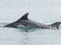 Penbontbren Luxury B&B