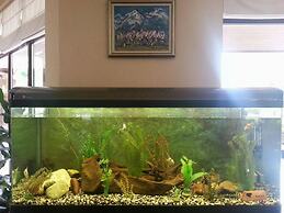 Winslow Infinity & Spa