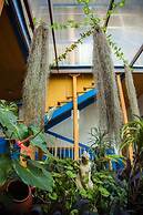 Hostal Ciudad De Segorbe - Hostel