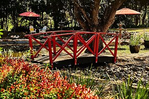 The Regents Park Mansion