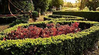 The Regents Park Mansion