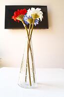 Down Town 13 Apartments