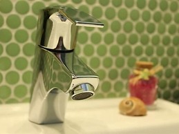 Born to Stay in Milfontes