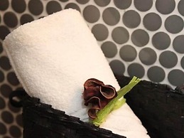 Born to Stay in Milfontes