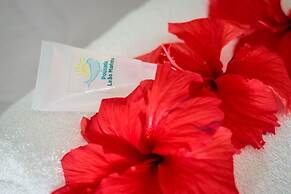 Pousada Leão Marinho