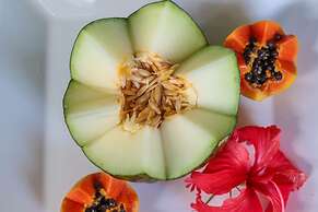 Pousada Leão Marinho