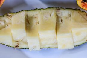 Pousada Leão Marinho