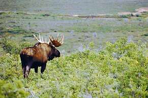 Butte's Bethel Farm B&B