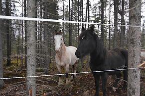 Butte's Bethel Farm B&B