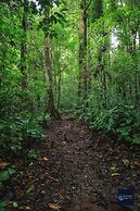 Cataratas Bijagua Lodge