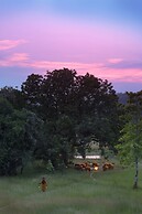 Mahua Kothi, Bandhavgarh National Park