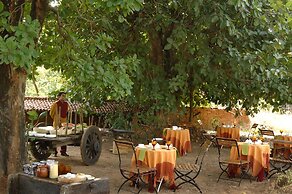 Mahua Kothi, Bandhavgarh National Park