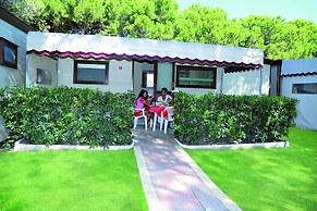 Village Camping Joker